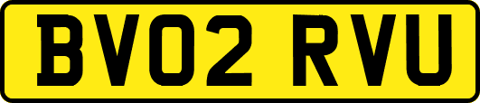 BV02RVU