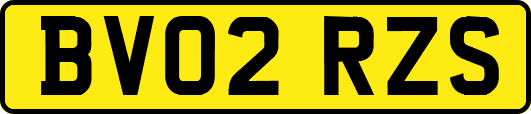 BV02RZS