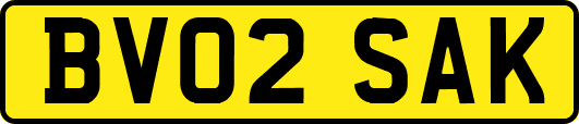 BV02SAK