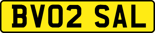 BV02SAL