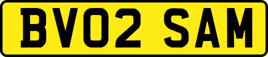 BV02SAM