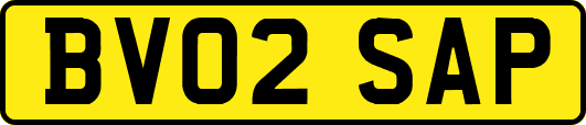 BV02SAP