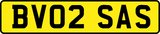 BV02SAS