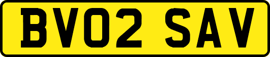 BV02SAV