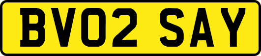 BV02SAY