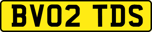 BV02TDS