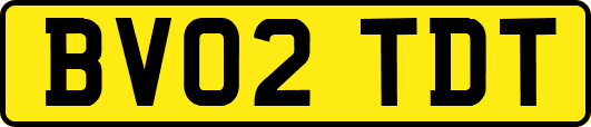 BV02TDT