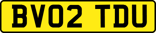 BV02TDU