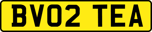 BV02TEA