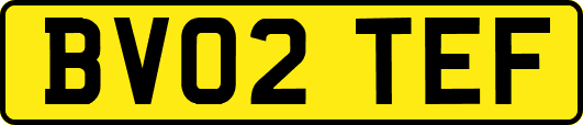 BV02TEF