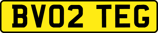 BV02TEG