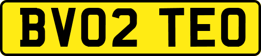 BV02TEO