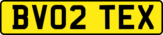 BV02TEX