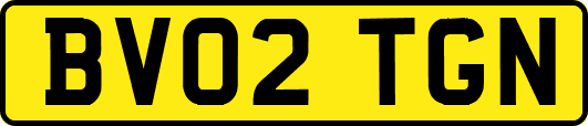 BV02TGN
