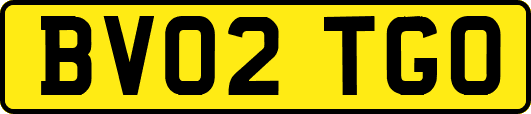 BV02TGO