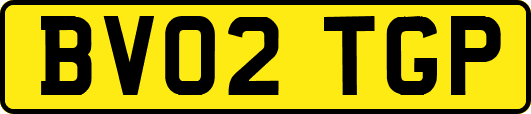 BV02TGP