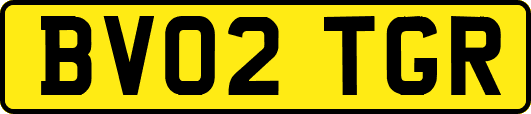 BV02TGR