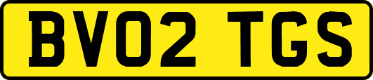 BV02TGS