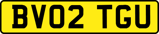 BV02TGU