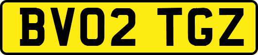 BV02TGZ