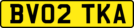 BV02TKA
