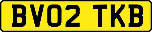 BV02TKB