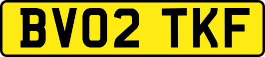 BV02TKF