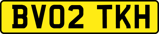BV02TKH