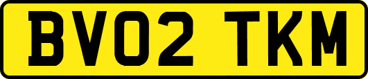 BV02TKM