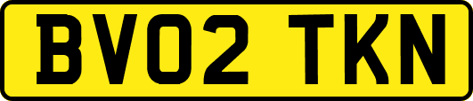 BV02TKN