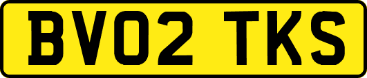 BV02TKS