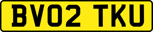 BV02TKU