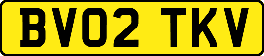 BV02TKV