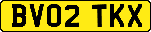 BV02TKX
