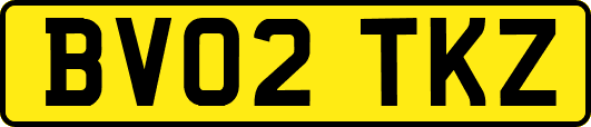 BV02TKZ