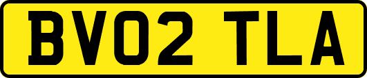 BV02TLA