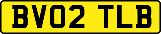 BV02TLB