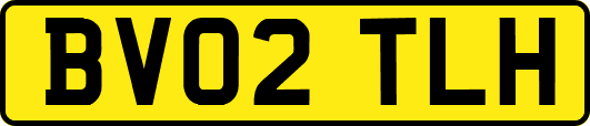 BV02TLH