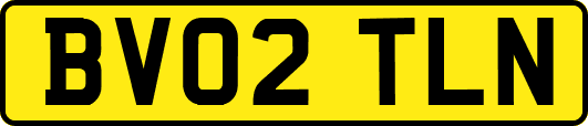 BV02TLN