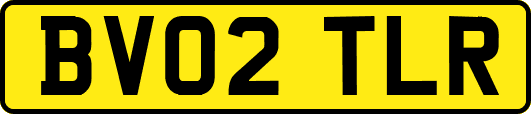 BV02TLR