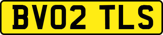 BV02TLS