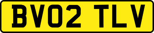 BV02TLV