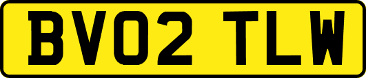 BV02TLW