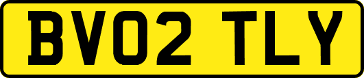 BV02TLY