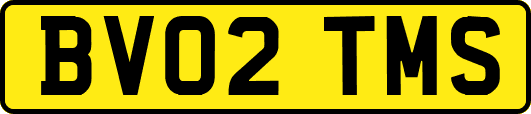 BV02TMS