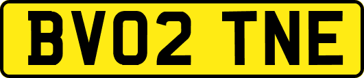 BV02TNE