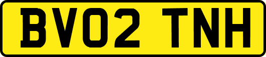 BV02TNH