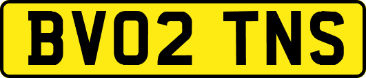 BV02TNS