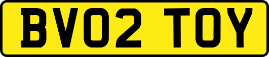 BV02TOY