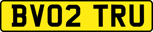 BV02TRU